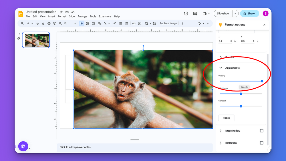 how-to-remove-background-from-a-picture-in-google-slides