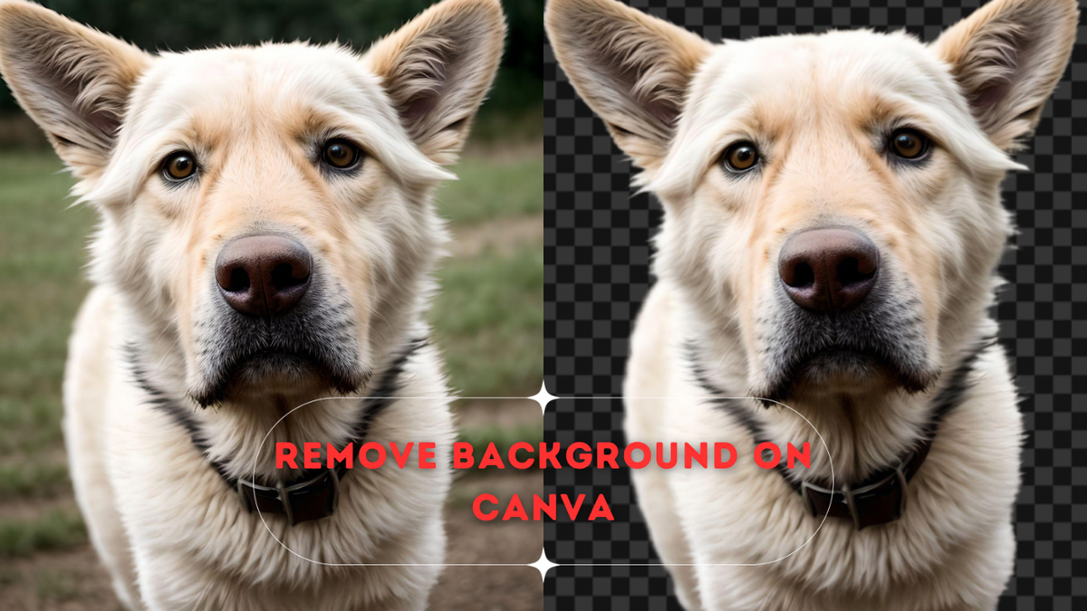 remove background in canva