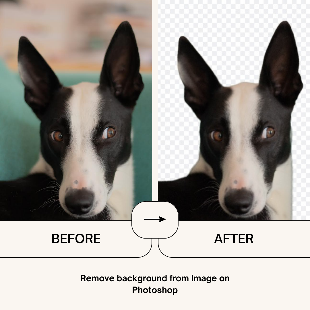 How to remove a background in Photoshop