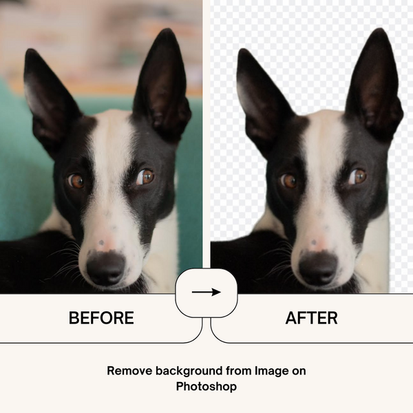 How to remove a background in Photoshop